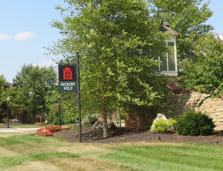 Hickory Wild Real Estate Listings